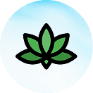 Plant 1